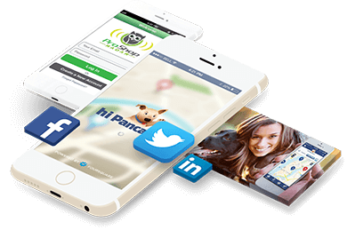 Develop A Strategy For Succeeding Online